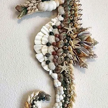 Sand, Sea & Salt 알보르